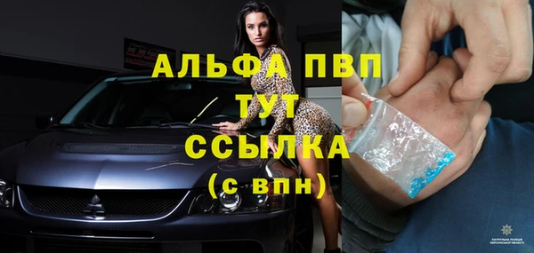 мяу мяу мука Абаза