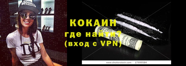крисы Алзамай