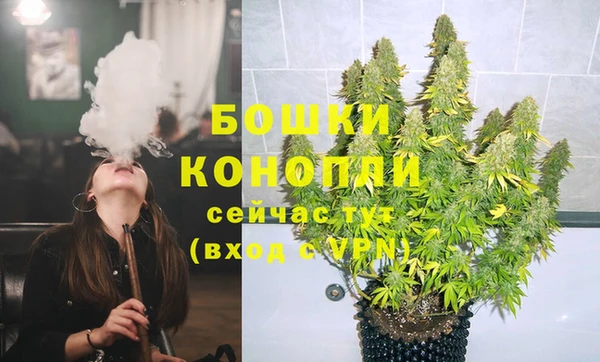 спайс Гвардейск