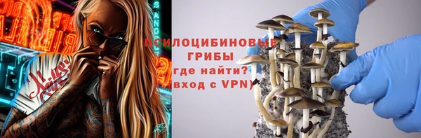 мяу мяу мука Абаза