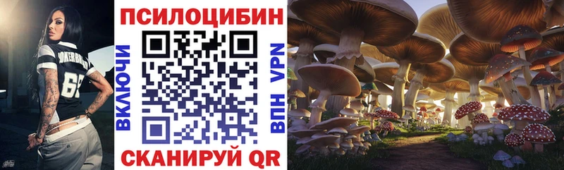 Псилоцибиновые грибы Magic Shrooms  KRAKEN как зайти  Заводоуковск 