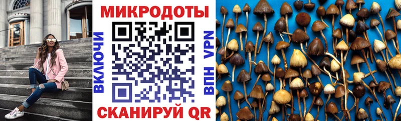 Галлюциногенные грибы Psilocybine cubensis Заводоуковск
